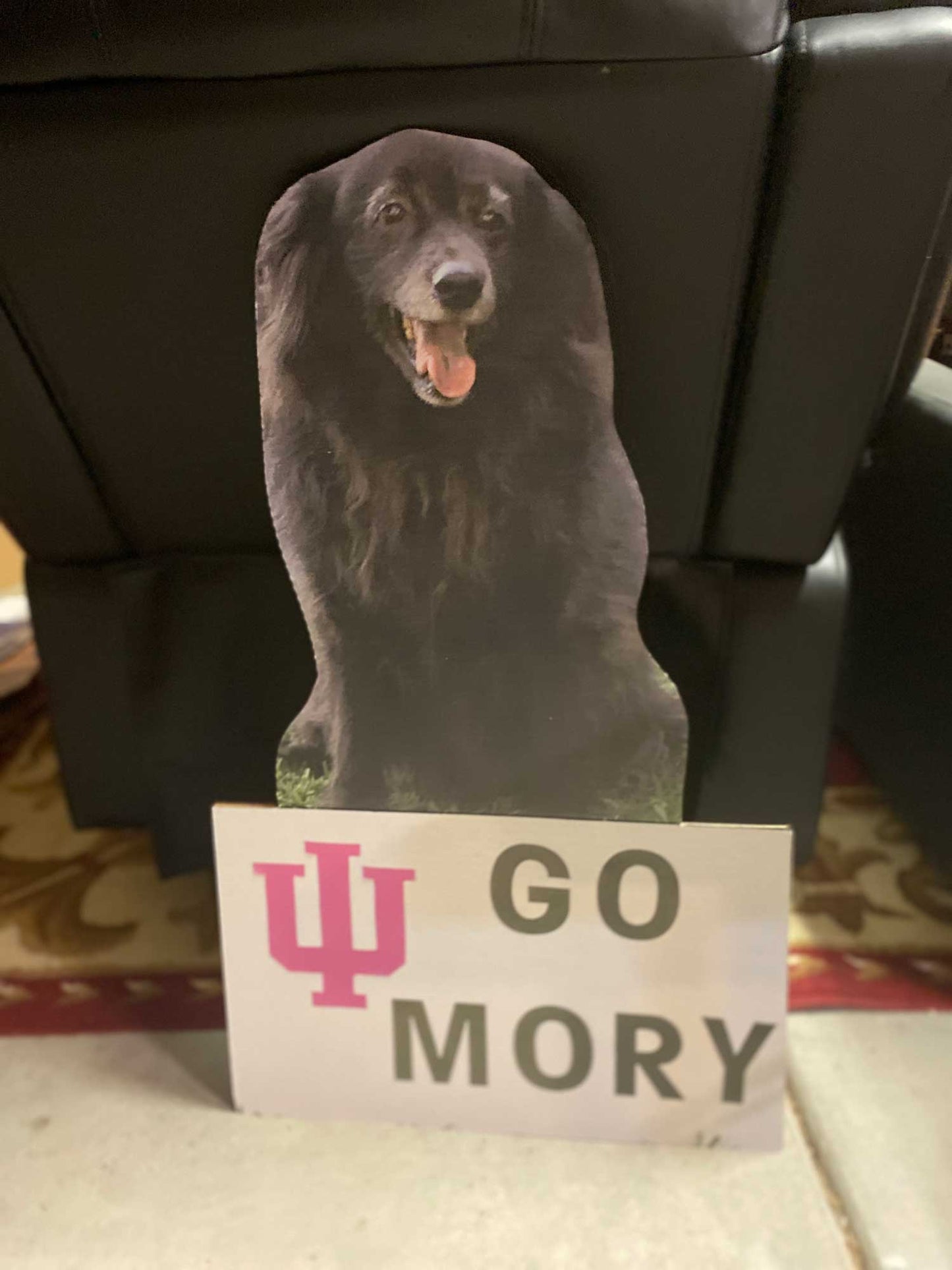 36" Waist-Up Cutout (1pcs)