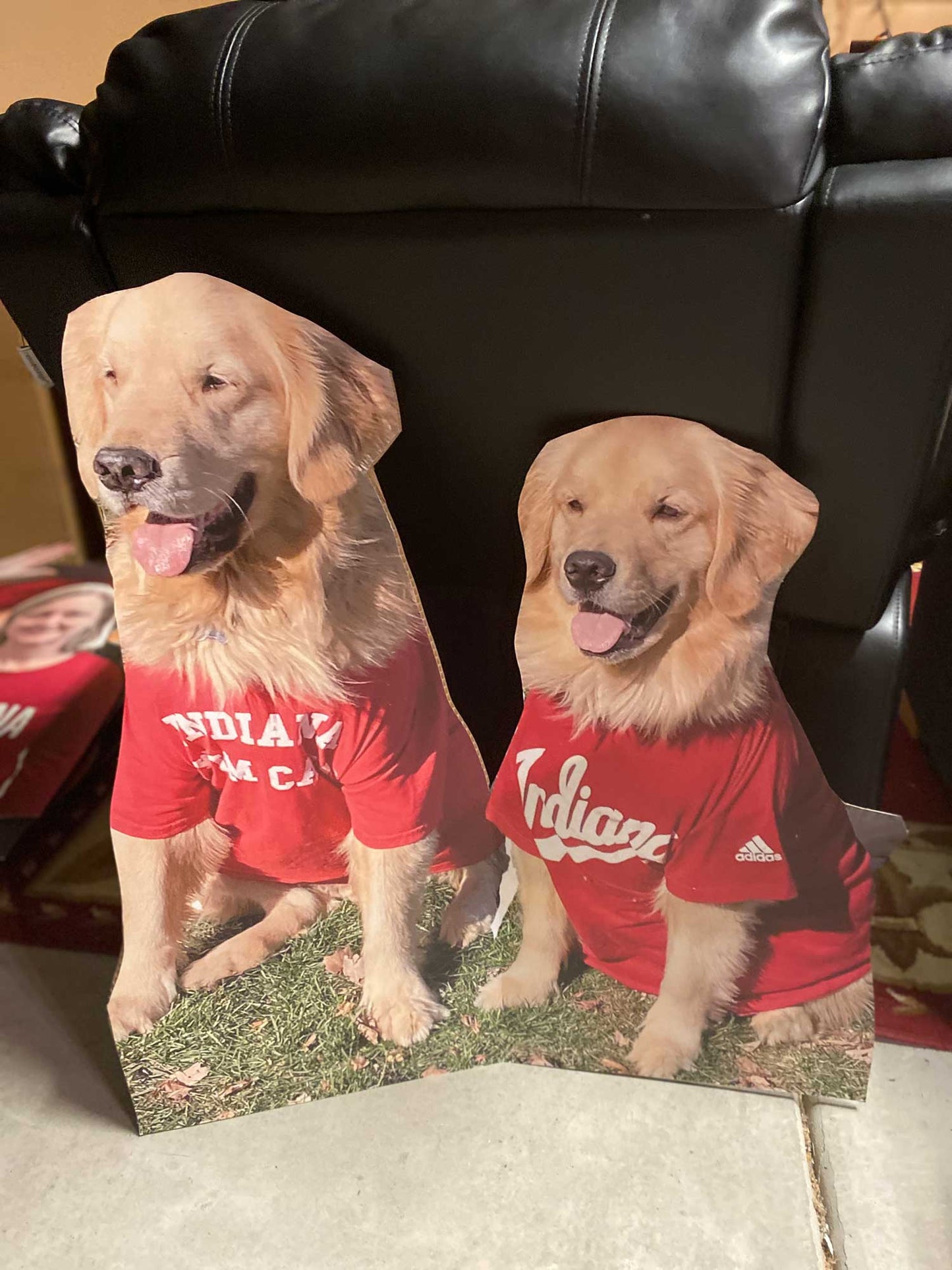 36" Waist-Up Cutout (1pcs)