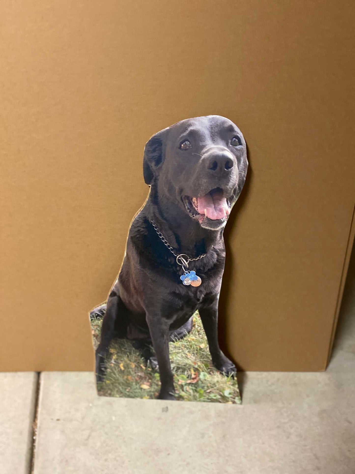 36" Waist-Up Cutout (1pcs)