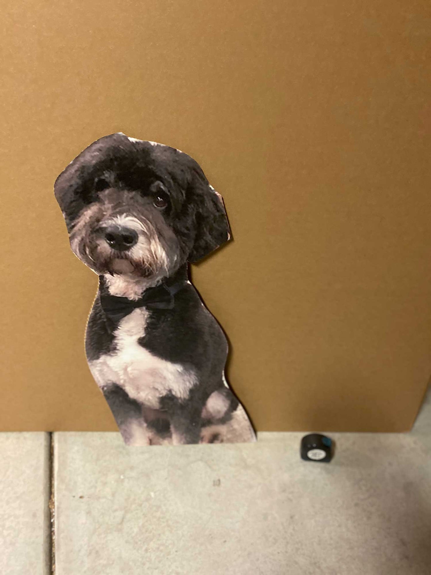 36" Waist-Up Cutout (1pcs)