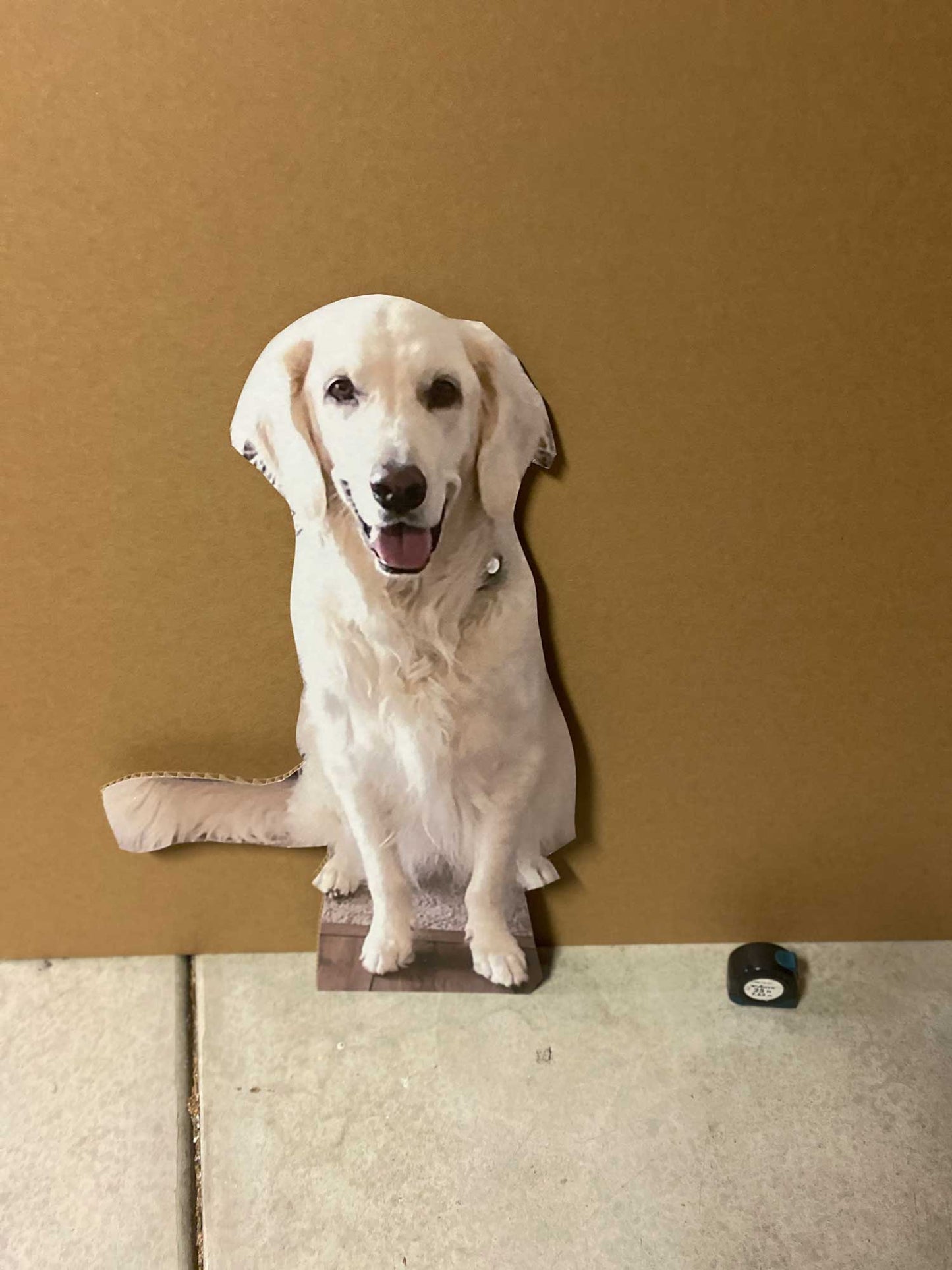 36" Waist-Up Cutout (1pcs)