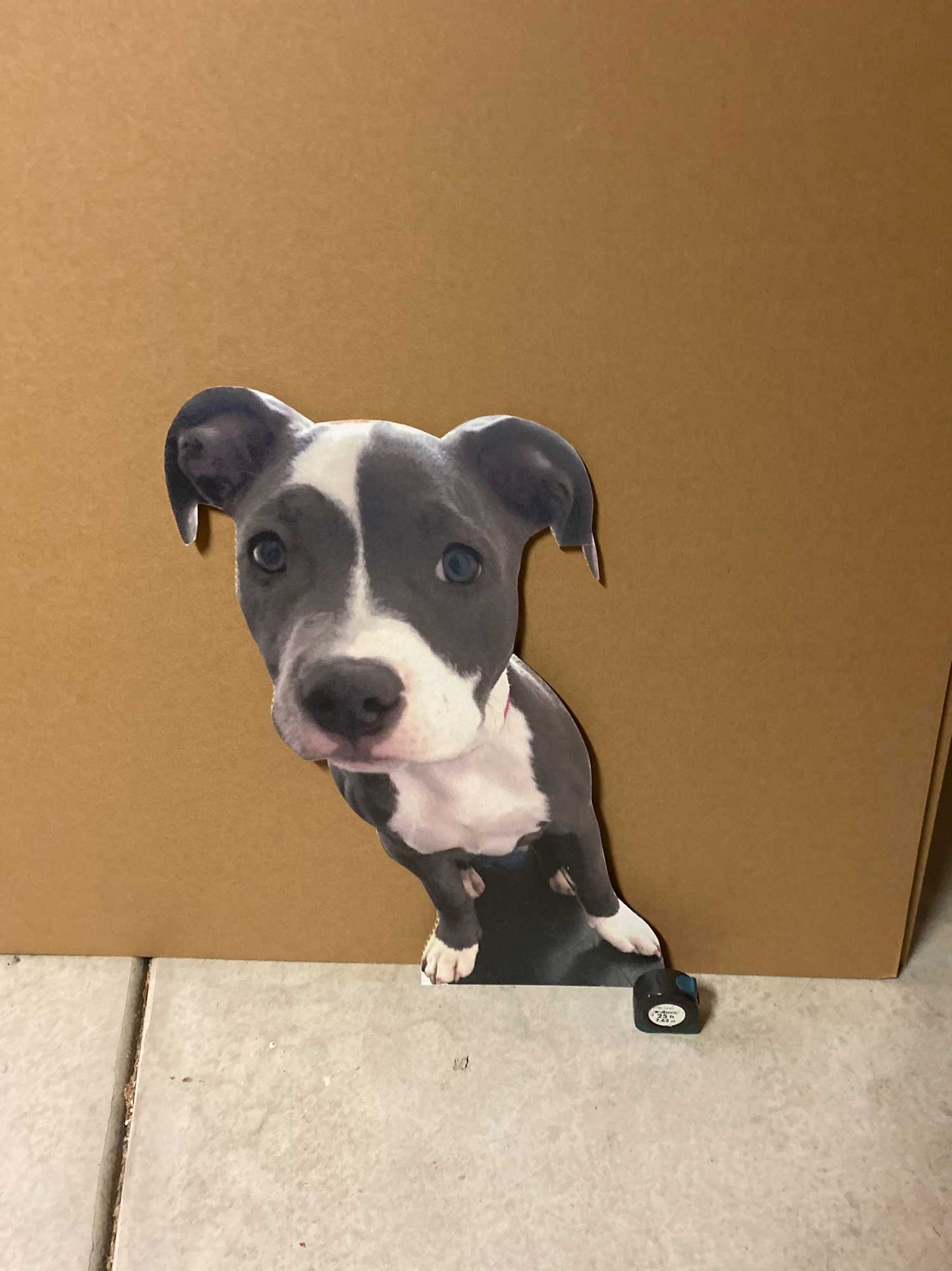 36" Waist-Up Cutout (1pcs)