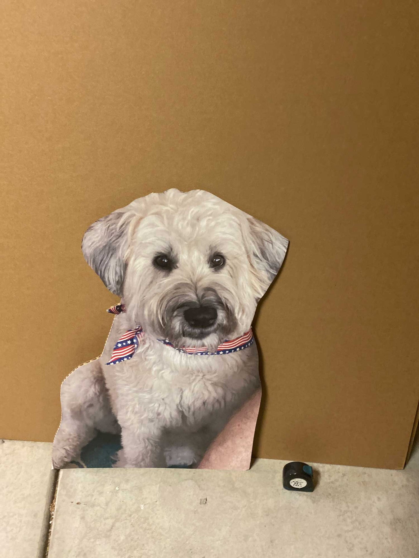 36" Waist-Up Cutout (1pcs)