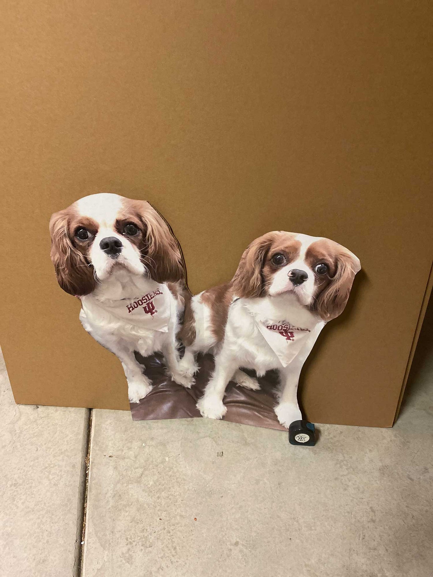 36" 2-Person Waist-Up Cutout (2pcs)