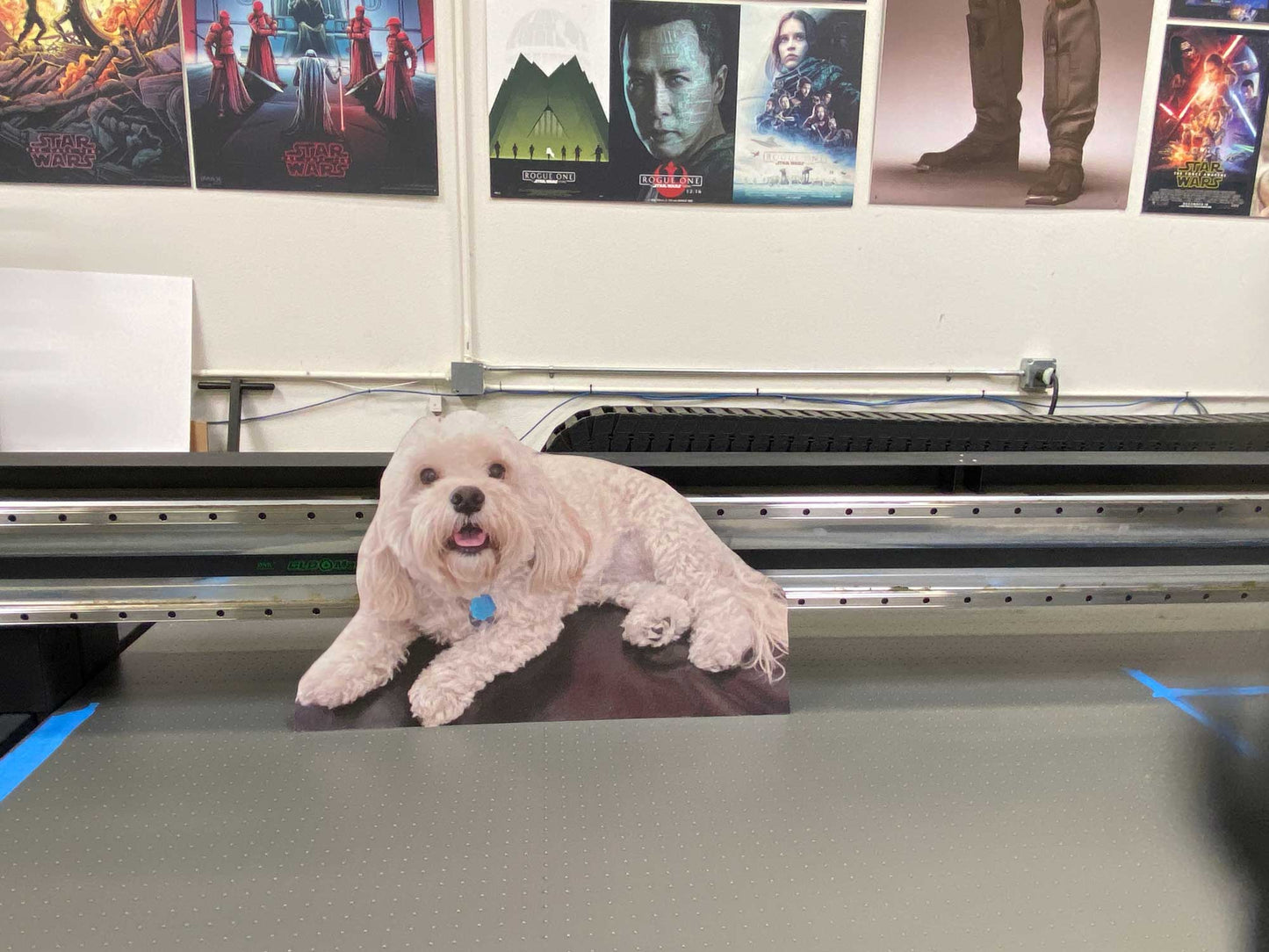 36" Waist-Up Cutout (1pcs)