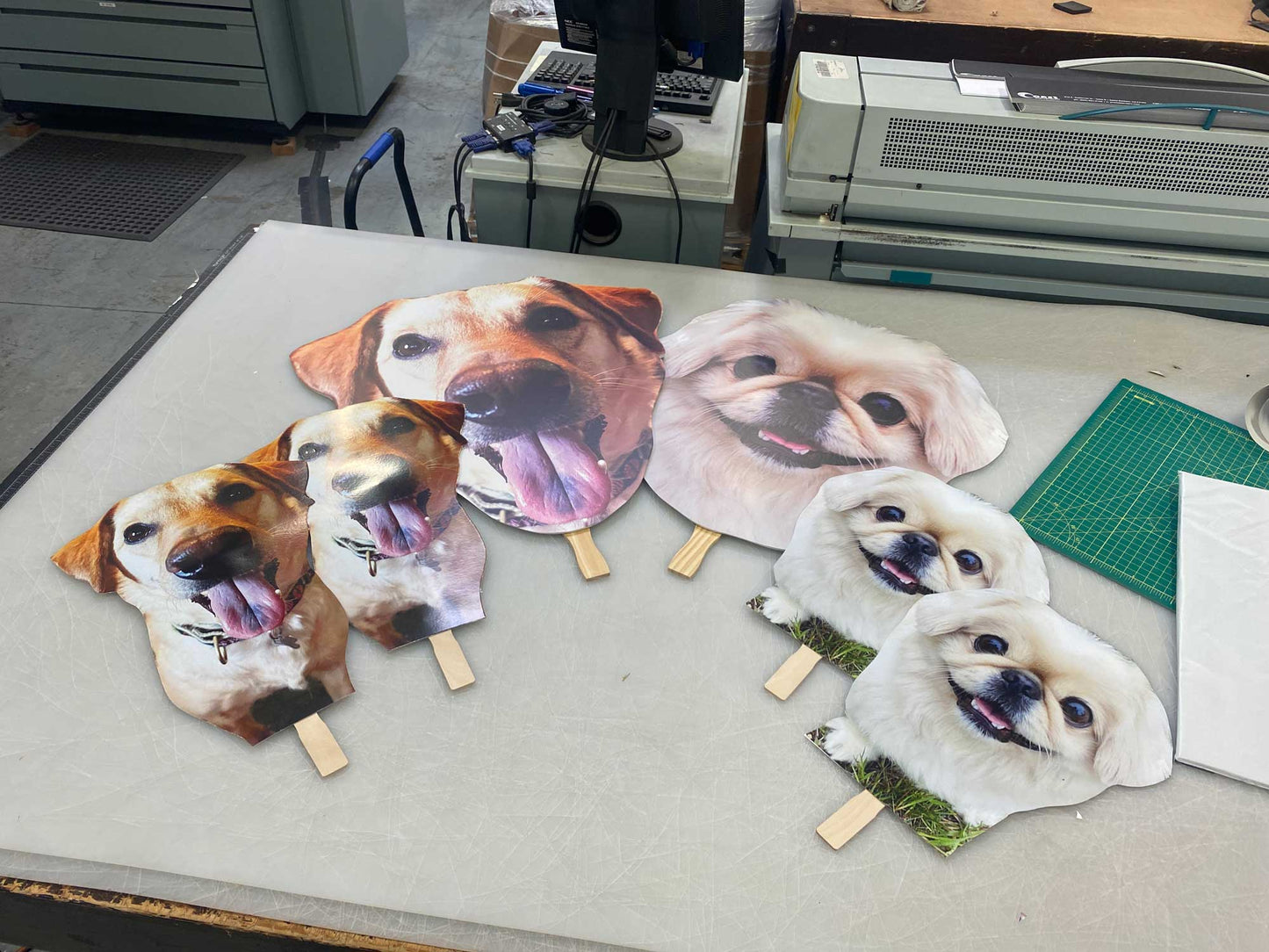 12"x18" Big Head (2 pack)