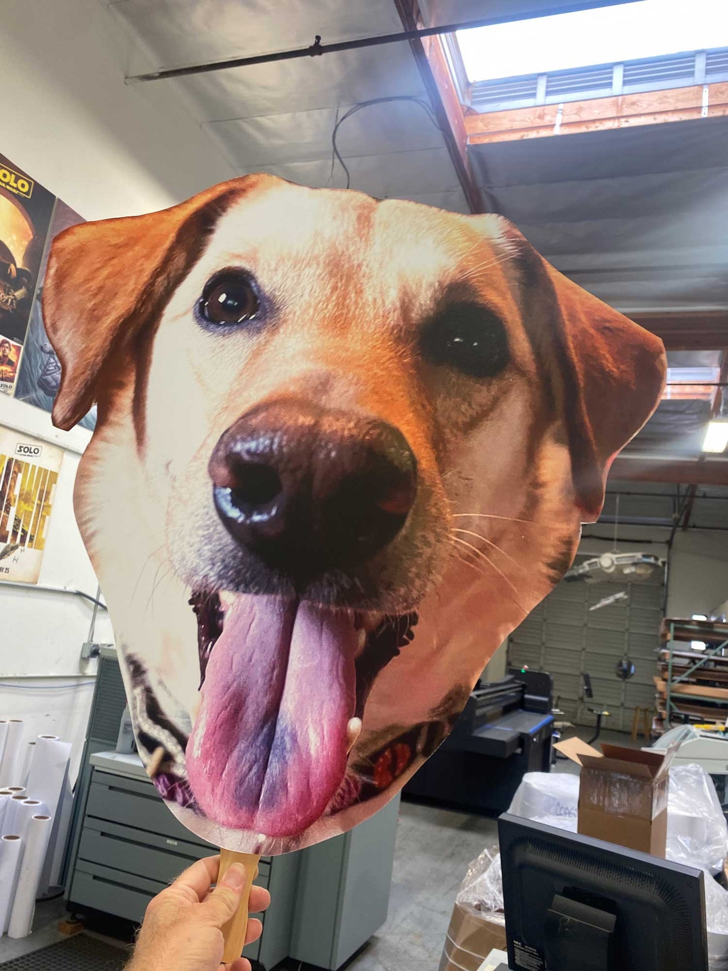 12"x18" Big Head (2 pack)