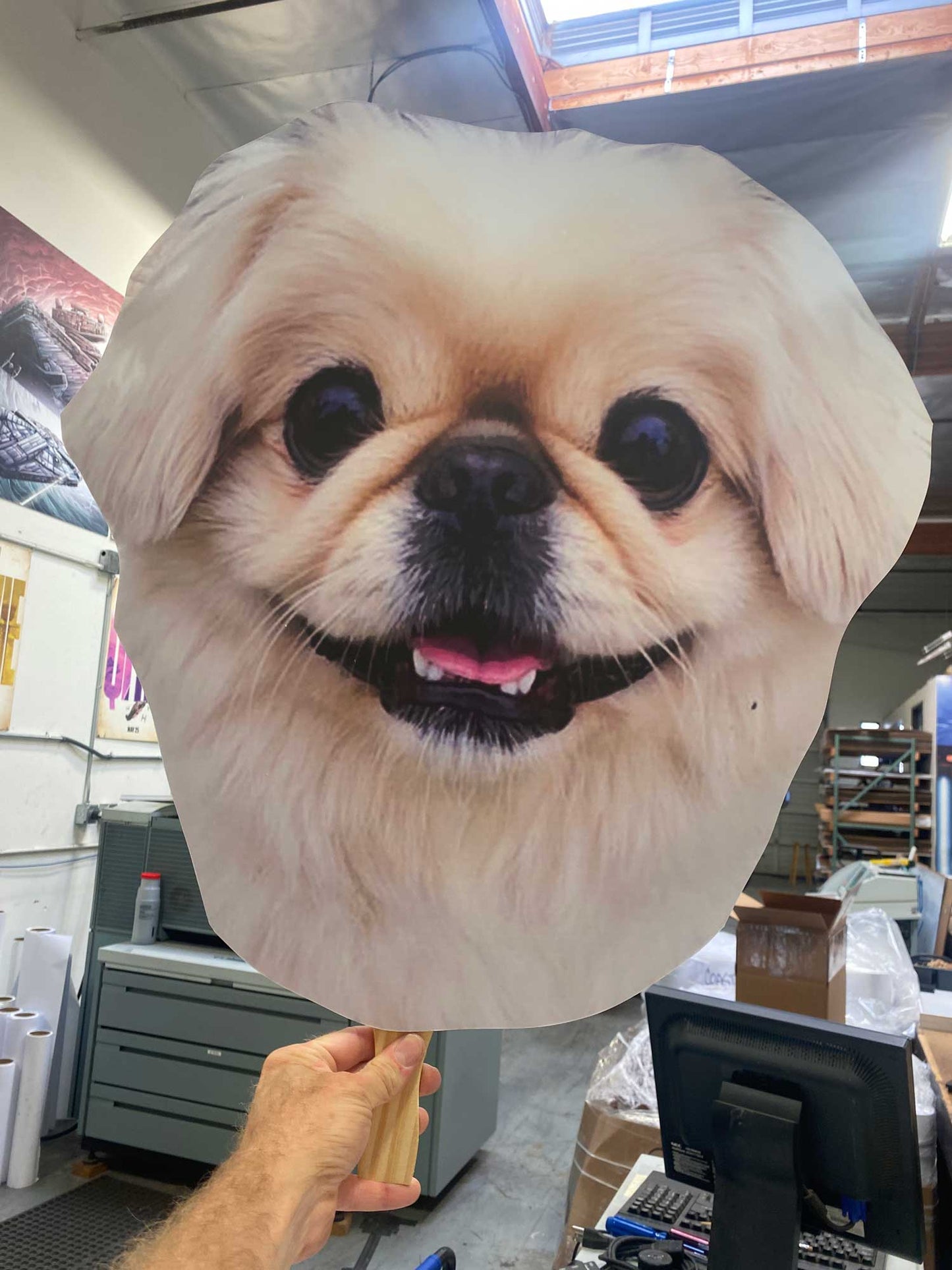 12"x18" Big Head