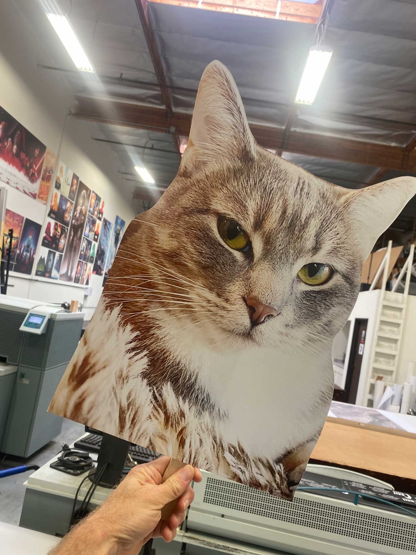 12"x18" Big Head (2 pack)